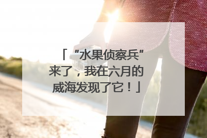 “水果侦察兵”来了，我在六月的威海发现了它！