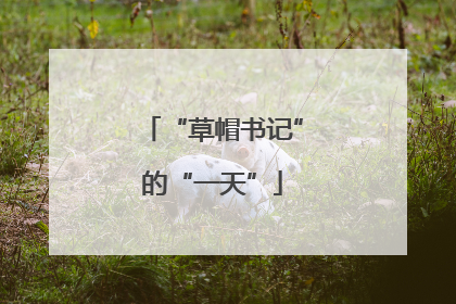 “草帽书记”的“一天”