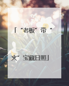 “老板”带“火”宝藏日照