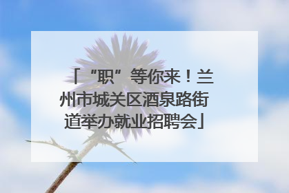 “职”等你来！兰州市城关区酒泉路街道举办就业招聘会