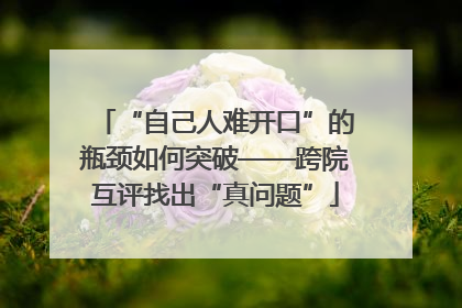 “自己人难开口”的瓶颈如何突破——跨院互评找出“真问题”