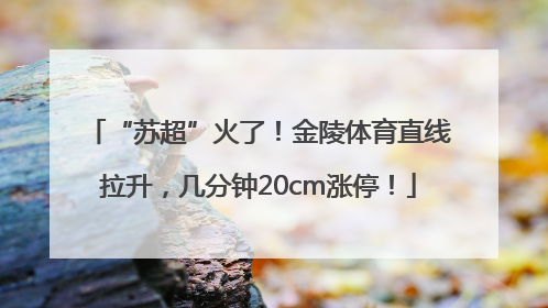 “苏超”火了！金陵体育直线拉升，几分钟20cm涨停！