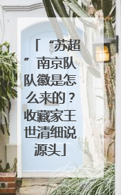 “苏超”南京队队徽是怎么来的？收藏家王世清细说源头