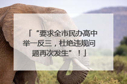 “要求全市民办高中举一反三，杜绝违规问题再次发生”！
