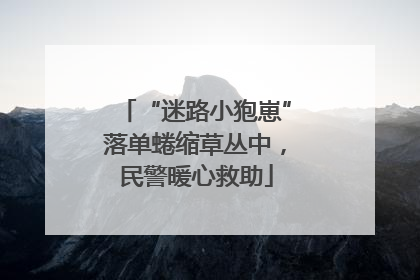 “迷路小狍崽”落单蜷缩草丛中，民警暖心救助