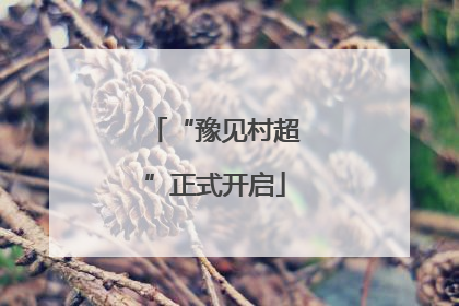 “豫见村超”正式开启