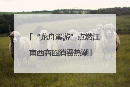 “龙舟溪游”点燃江南西商圈消费热潮