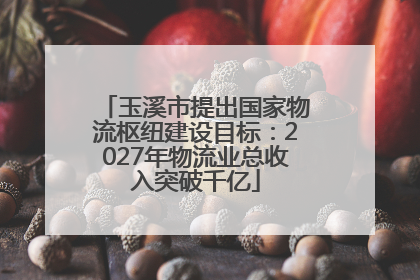 玉溪市提出国家物流枢纽建设目标：2027年物流业总收入突破千亿