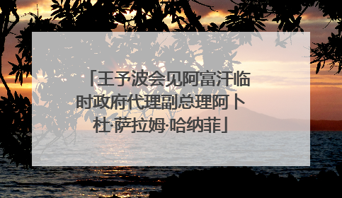 王予波会见阿富汗临时政府代理副总理阿卜杜·萨拉姆·哈纳菲