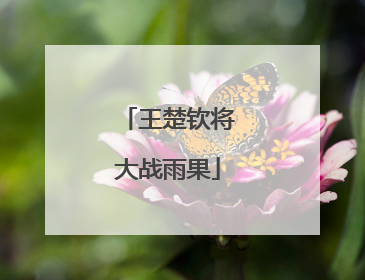 王楚钦将大战雨果