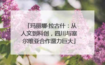 玛丽娜·拉古什：从人文到科创，四川与塞尔维亚合作潜力巨大