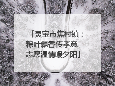 灵宝市焦村镇：粽叶飘香传孝意 志愿温情暖夕阳