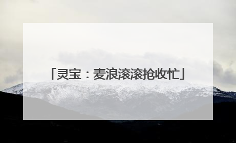 灵宝：麦浪滚滚抢收忙