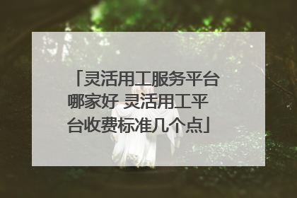 灵活用工服务平台哪家好 灵活用工平台收费标准几个点