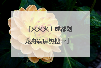 火火火！成都划龙舟霸屏热搜→