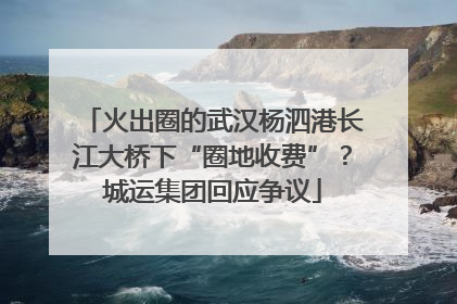 火出圈的武汉杨泗港长江大桥下“圈地收费”？城运集团回应争议