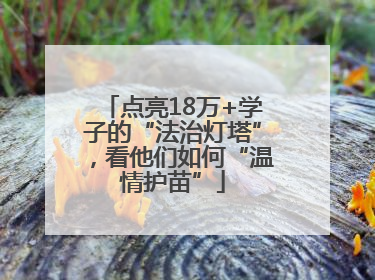 点亮18万+学子的“法治灯塔”，看他们如何“温情护苗”
