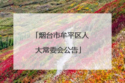 烟台市牟平区人大常委会公告