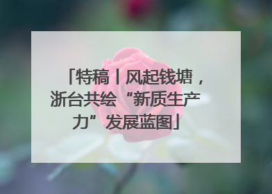 特稿丨风起钱塘，浙台共绘“新质生产力”发展蓝图