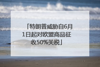 特朗普威胁自6月1日起对欧盟商品征收50%关税