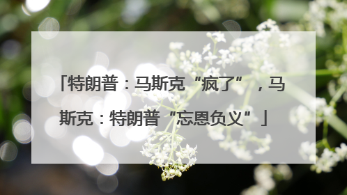 特朗普：马斯克“疯了”，马斯克：特朗普“忘恩负义”