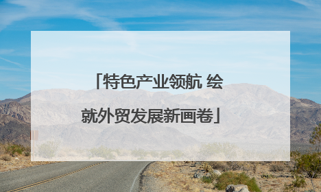 特色产业领航 绘就外贸发展新画卷