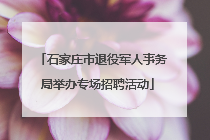 石家庄市退役军人事务局举办专场招聘活动