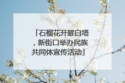 石榴花开耀白塔，新街口举办民族共同体宣传活动