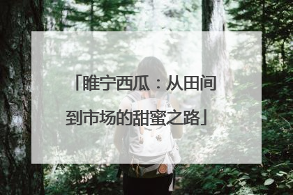 睢宁西瓜：从田间到市场的甜蜜之路