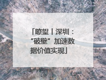 瞭望丨深圳：“破壁”加速数据价值实现