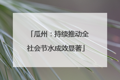 瓜州：持续推动全社会节水成效显著