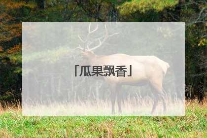 瓜果飘香