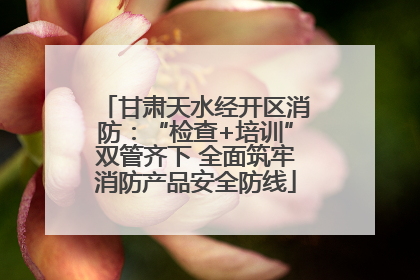 甘肃天水经开区消防：“检查+培训”双管齐下 全面筑牢消防产品安全防线