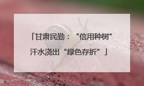 甘肃民勤：“信用种树” 汗水浇出“绿色存折”