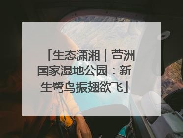 生态潇湘｜萱洲国家湿地公园：新生鹭鸟振翅欲飞