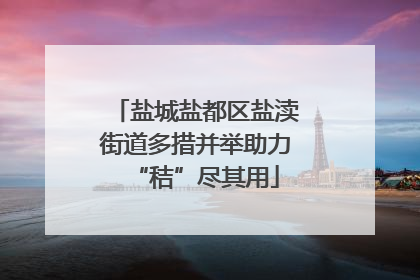 盐城盐都区盐渎街道多措并举助力“秸”尽其用