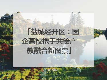 盐城经开区：国企高校携手共绘产教融合新图景