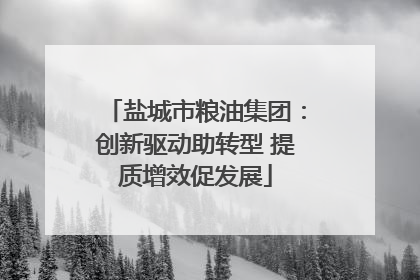盐城市粮油集团：创新驱动助转型 提质增效促发展