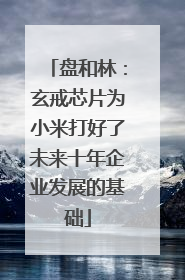 盘和林：玄戒芯片为小米打好了未来十年企业发展的基础