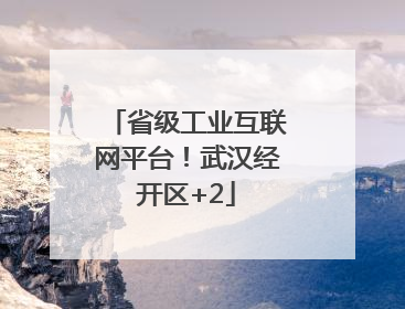 省级工业互联网平台！武汉经开区+2