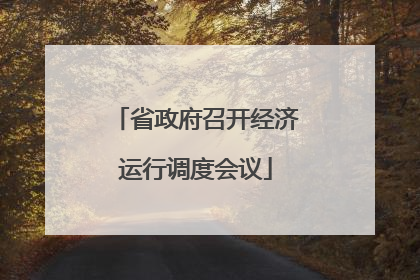 省政府召开经济运行调度会议