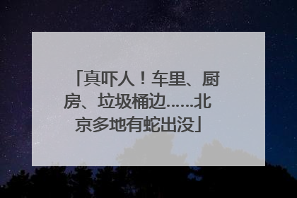 真吓人！车里、厨房、垃圾桶边……北京多地有蛇出没