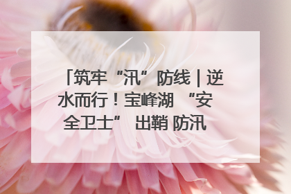 筑牢“汛”防线｜逆水而行！宝峰湖 “安全卫士” 出鞘 防汛应急再添硬核力量