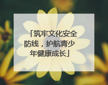 筑牢文化安全防线，护航青少年健康成长