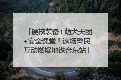 硬核装备+萌犬天团+安全课堂！这场警民互动燃爆地铁台东站