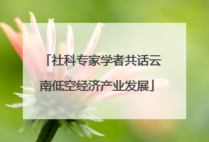 社科专家学者共话云南低空经济产业发展