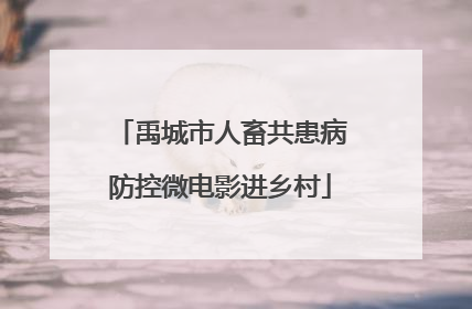禹城市人畜共患病防控微电影进乡村