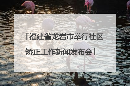 福建省龙岩市举行社区矫正工作新闻发布会