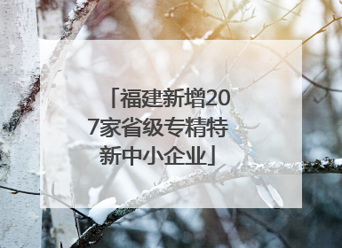 福建新增207家省级专精特新中小企业