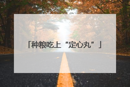 种粮吃上“定心丸”